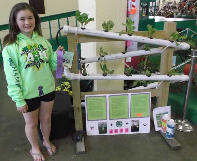 Color image of 4-H club member Alyssa Schwede at the West Polk County Fair with her hydroponic vegetable garden exhibit, 2015. The exhibit was awarded a purple ribbon.