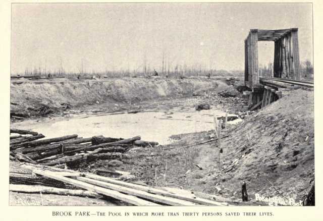 Black and white photograph of Brook Park (Pokegama) after a catastrophic fire, ca. 1894. 