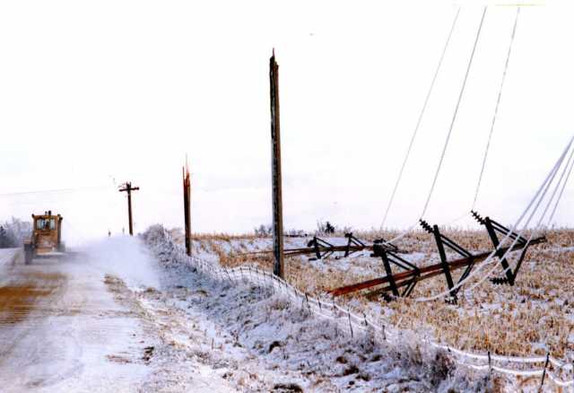 Color image of power lines in Hayward destroyed by the Halloween Blizzard, 1991. Photograph by Joey Mcleister, Minneapolis Star Tribune.