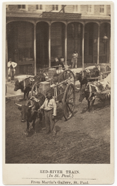 Black and white photograph of a man and a Red River cart train, ca. 1859. Photograph by Martin’s Gallery.