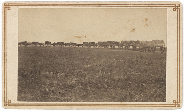 Black and white photograph of an ox-cart train on a Red River trail, ca. 1860. 