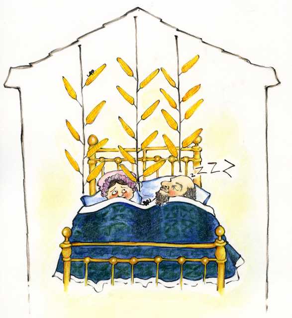 Drawing of a farmer and his wife in bed with ears of corn suspended above them for drying in a warm bedroom.