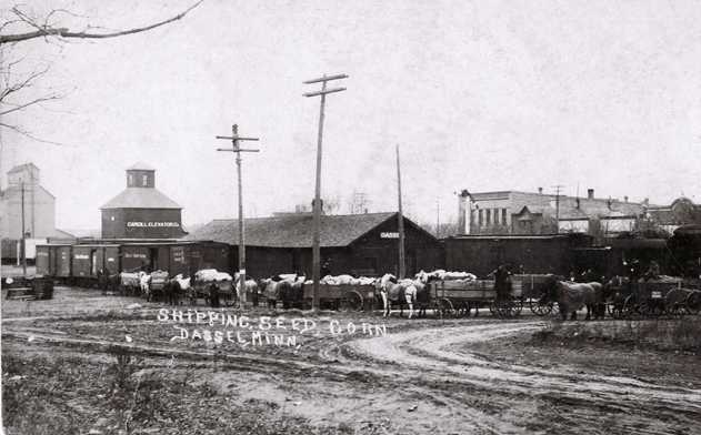 Black and white photograph of horse-drawn wagons hauling bags of seed corn to a railroad station for further transporting, c.1907.
