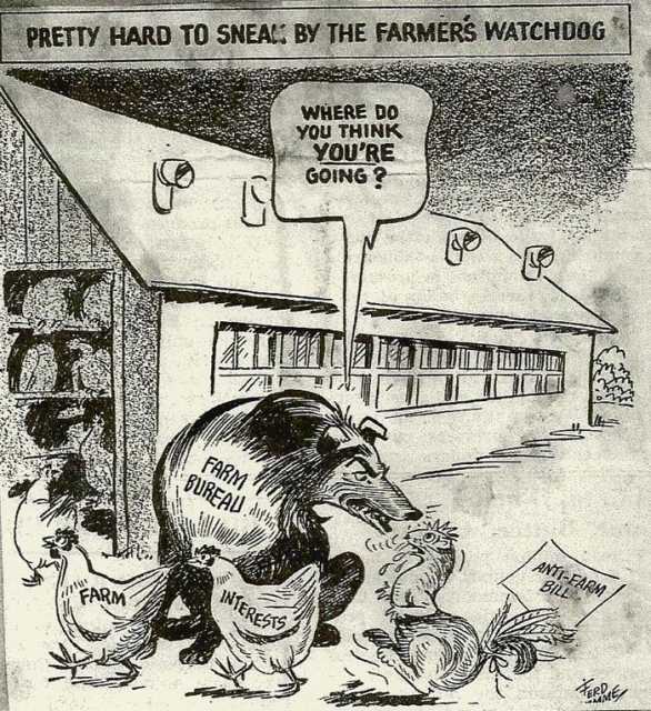 Cartoon with Farm Bureau watchdog, 1955.