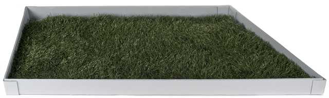 Color image of a section of turf used in the Hubert H. Humphrey Metrodome baseball field, 2013.