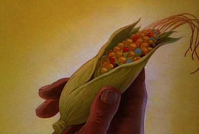 Color image of the hand of an American Indian symbolically offering ear of corn to colonists. Used in The Grain That Built a Hemisphere.