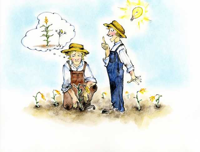 Drawing of two individuals contemplating how to grow corn in Minnesota’s cold climate.