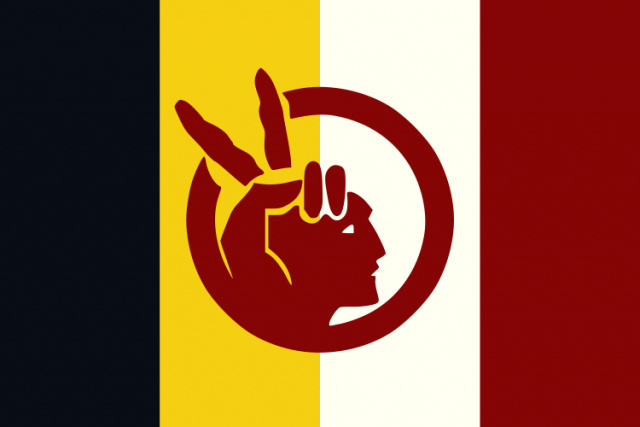 Flag of the American Indian Movement (AIM)