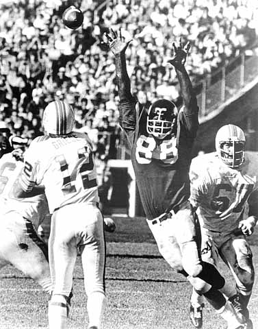 Color image of Alan Page (#88) of the Minnesota Vikings, ca. 1975.