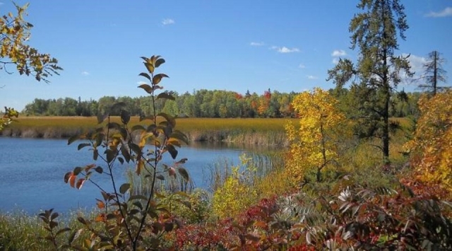 Black Bay on Rainy Lake