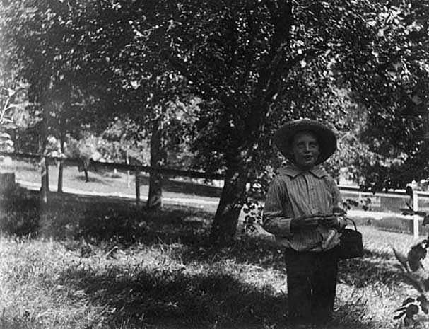 Black and white photograph of Lewis Merrill in the apple orchard on the Merrill's property, 1898.