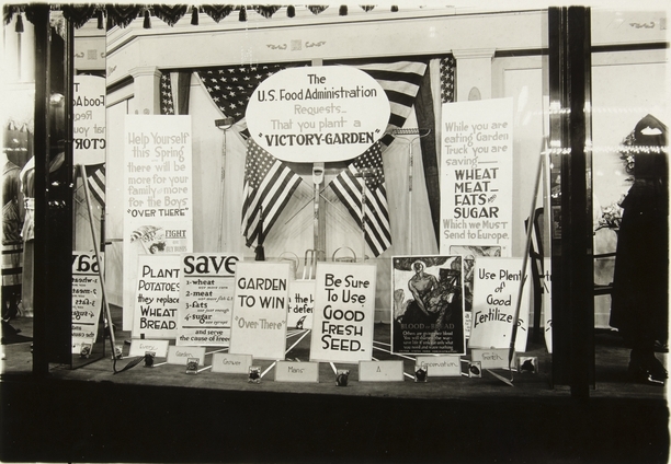 Black and white photograph of a store display window in St. Paul promoting home gardening, c.1918.