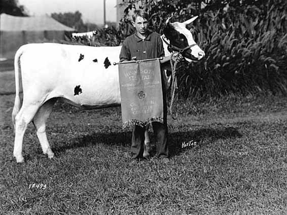 Black and white photograph of 4H Calf Club champion and his calf, 1923. 