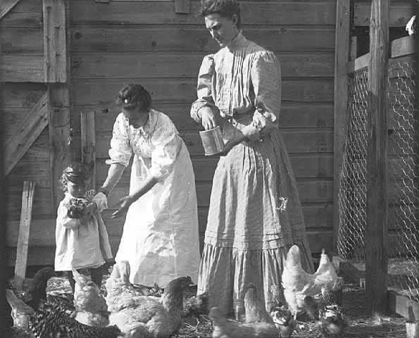 Women and child feeding chickens