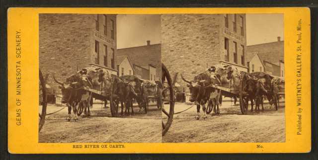 Black and white photograph of Red River carts, 1862–1875. Photograph by Whitney’s Gallery.