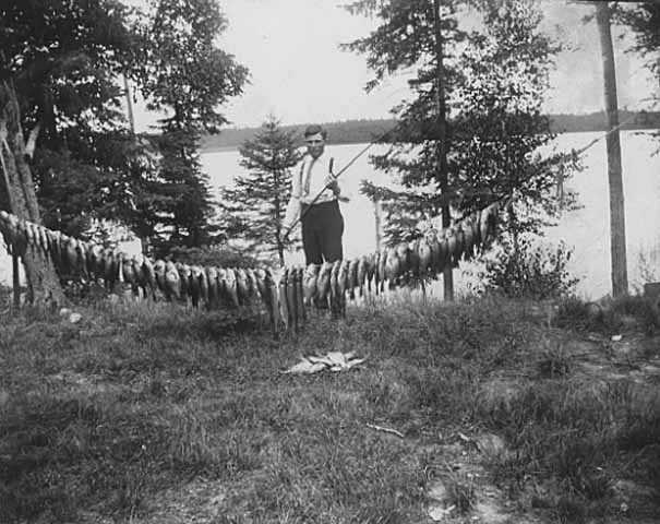 Black and white photograph of a man with string of fish caught in Itasca Lake, c.1915.