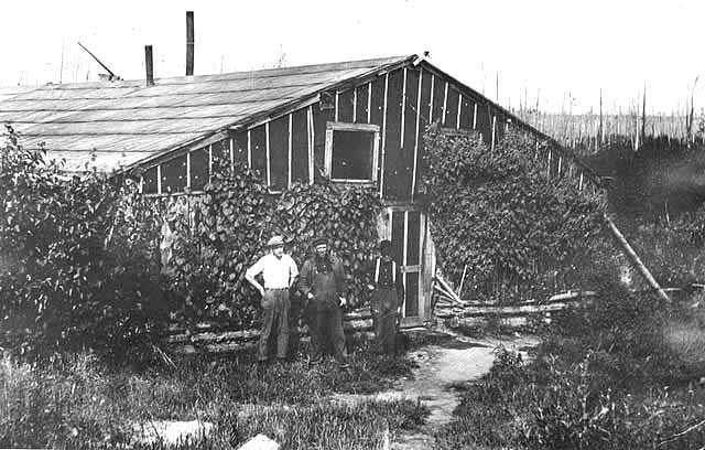 Cookhouse at Sulphur Camp, 1916. Sulphur Camp was the location of early taconite research, near current-day Babbitt, Minnesota.  Peter Mitchell, a prospector from Michigan, explored the area and found that taconite was plentiful on this part of the Iron Range.