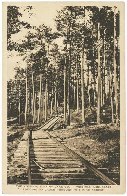  Logging tracks laid through the pine forest by the Virginia and Rainy Lake Company, ca. 1928.