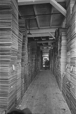 Black and white photograph showing stacks of milled lumber, ca. 1915.