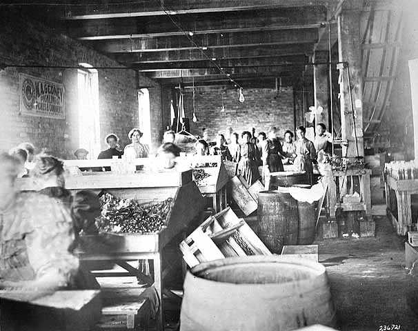 Black and white photograph of Female employees at the M. A. Gedney Company, c.1912.