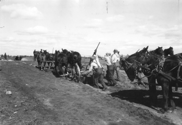 Black and white photograph of a Federal Emergency Relief Administration farm to market road construction project near Alexandria, 1936.