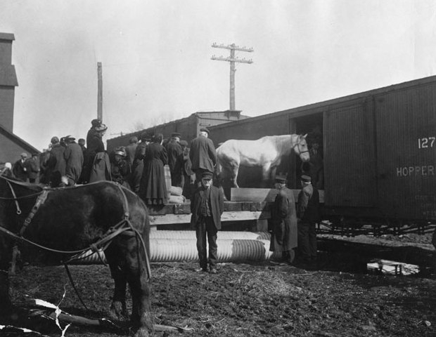 Black and white photopgrah of people loading horse and possessions of homesteaders into Great Northern Railway boxcar, date unknown.