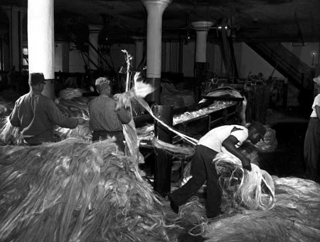 Prisoners at Minnesota State Prison working in the twine factory