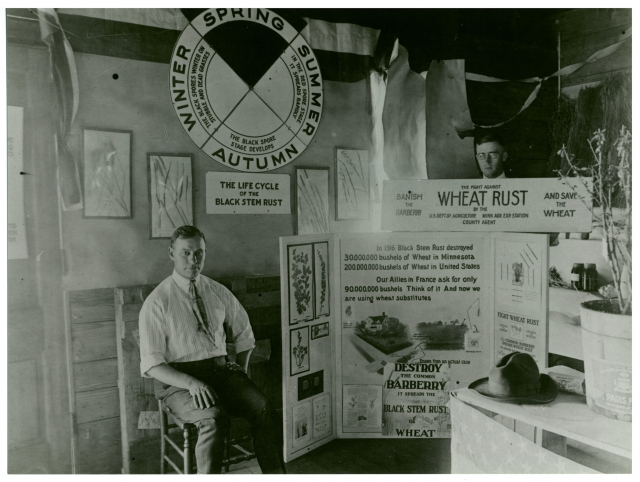 A wheat rust exhibit at a county fair in Minnesota in 1922—an example of public education about barberry eradication.