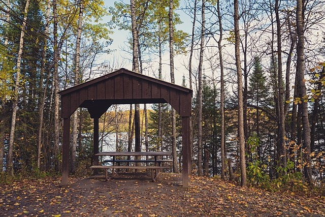 Picnic shelter in Franz Jevne State Park