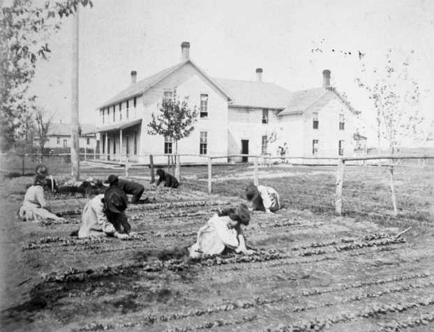 Black and white photograph of children at a Native American boarding school work in a garden plot, c.1890s.