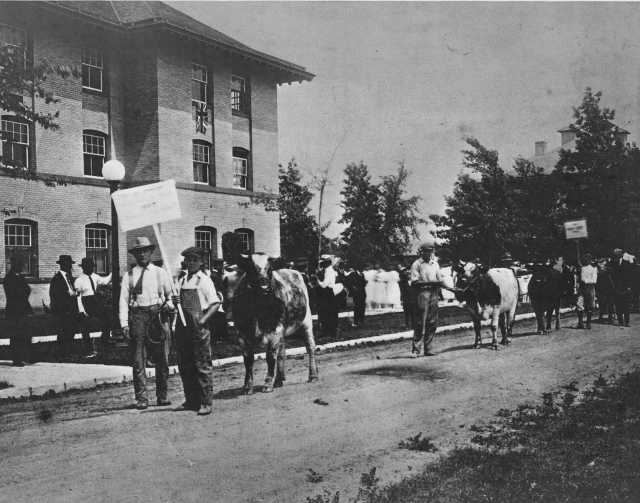 Black and white photograph of a livestock parade at the Northwest Experiment Station’s annual visiting day.