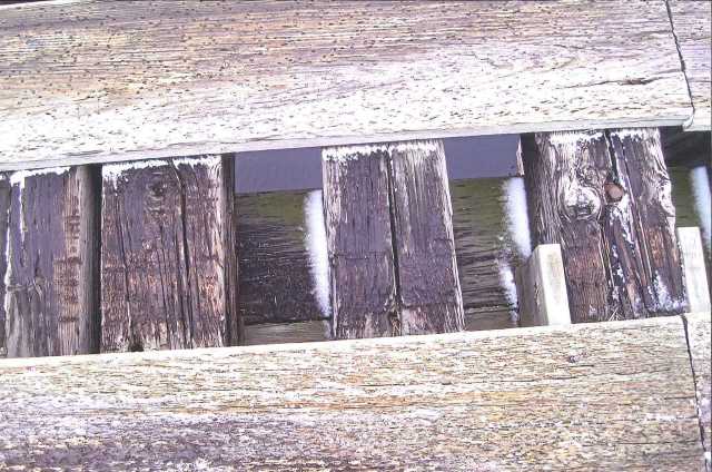 Minnesota and International Railway trestle bridge exposed tie and stringers