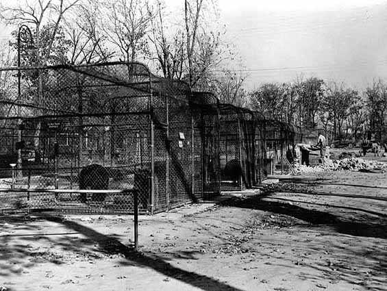 Animal cages at Como Zoo