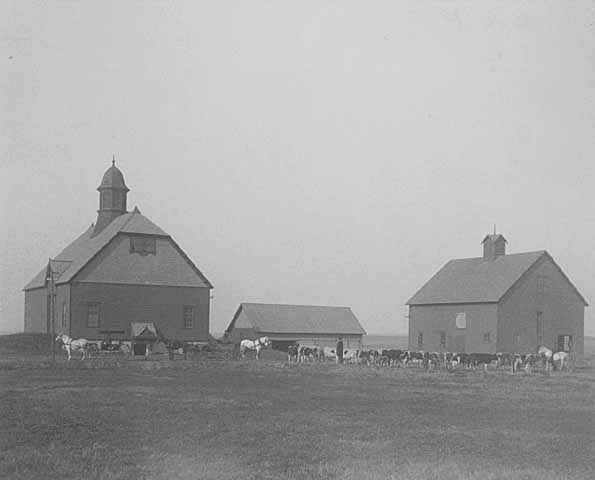 Black and white photograph of farm buildings at the State School, 1905.