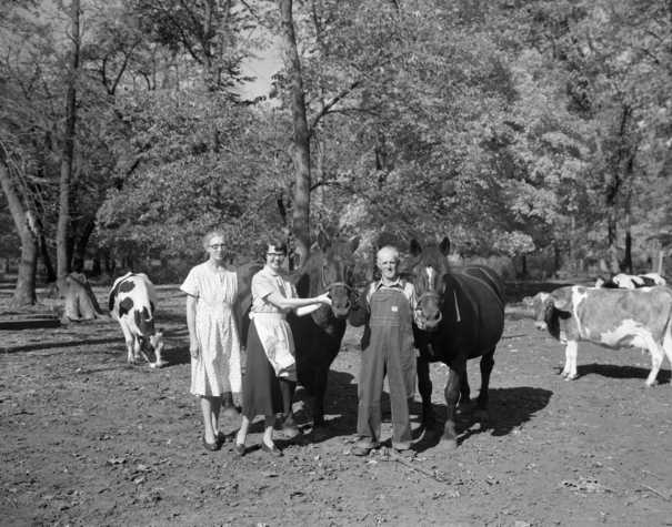 Black and white photograph of owners of a family farm in Maple Plain pose with their animals, October 10, 1955.