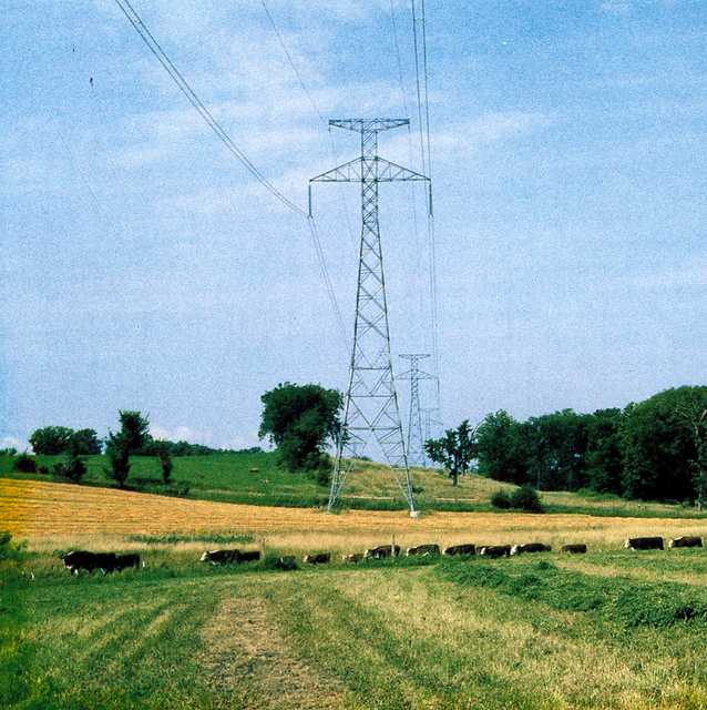 Power line over Minnesota farmland, undated. Minnesota Powerline Oral History Project (OH 25). Oral History Collection, Minnesota Historical Society, St. Paul.