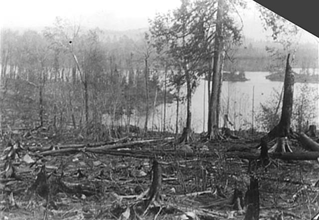 Fire damage in Superior National Forest