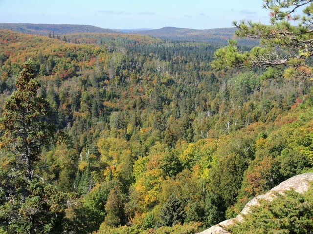 Superior National Forest overlook