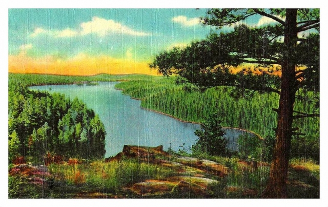 Superior National Forest postcard