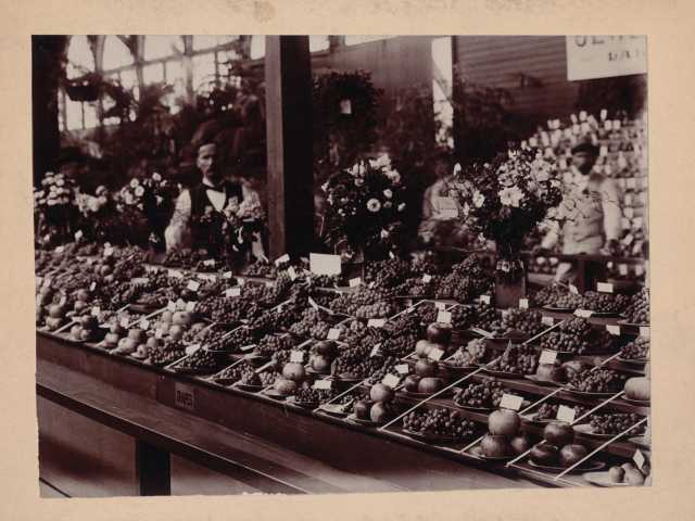 Black and white photograph of a fruit display at the Minnesota State Fair, 1899.