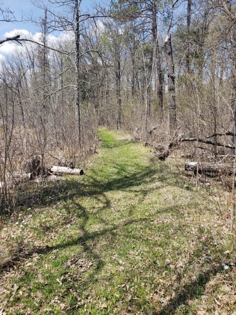 Savanna Portage Trail, 2018. Photograph by Jon Lurie; used with the permission of Jon Lurie.