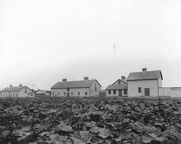 Piggeries and slaughter house, Fergus Falls State Hospital, Fergus Falls.