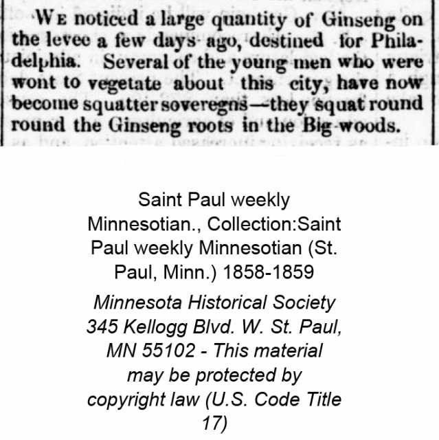 Clipping from the St. Paul Weekly newspaper, June 11, 1859, that mentions people squatting “round the Ginseng Roots in the Big Woods”