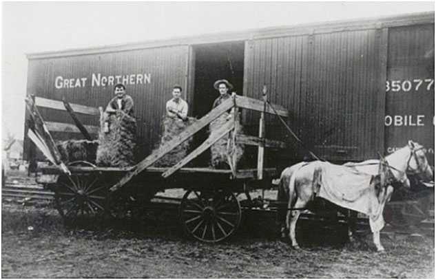 Black and white photograph of Thomas McMahon (far left), a farmer in Tara Township, loading hay onto a Great Northern Railway freight car, c.1910.