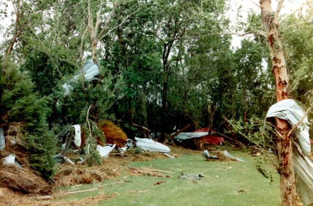 Tin debris caught in tree branches and in vegetation in the aftermath of the Chandler–Lake Wilson Tornado, June 1992.