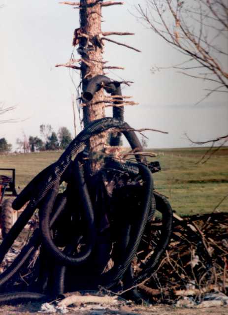 Tubing debris wrapped around a tree in the aftermath of the Chandler–Lake Wilson Tornado, June 1992.