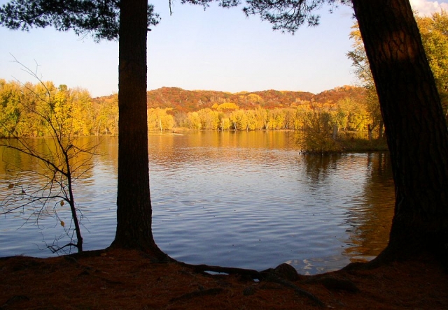 Riverside trail in William O’Brien State Park