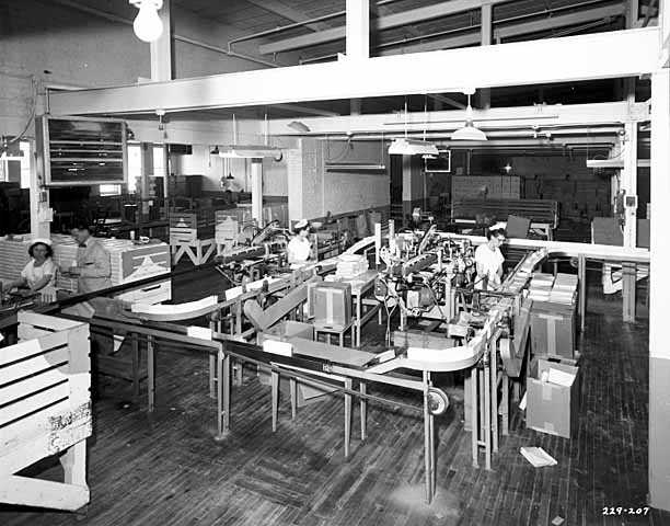 Photograph of an assembly line at the Ry-Krisp factory.