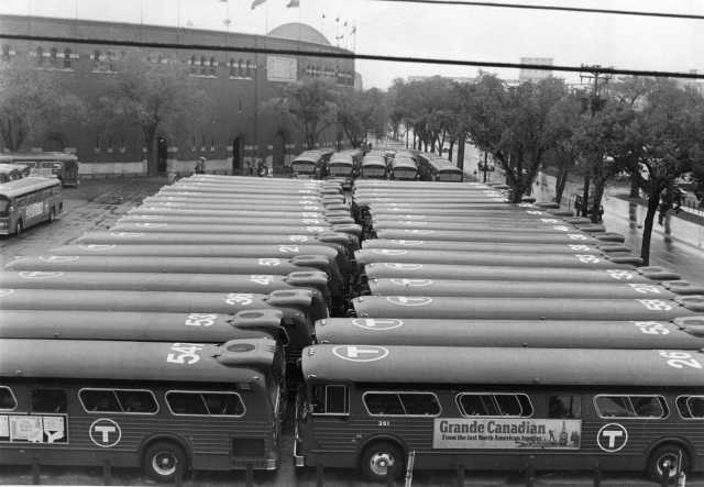Fleet of new, air conditioned buses purchased by the MTC in the early 1970s, after the commission acquired Twin City Lines. Photo by the St. Paul Pioneer Press; used with permission.