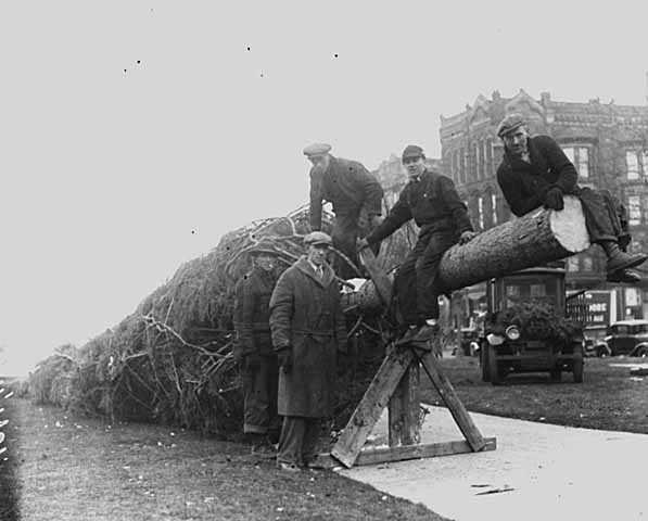 Putting up a Christmas Tree in Gateway Park, 1931